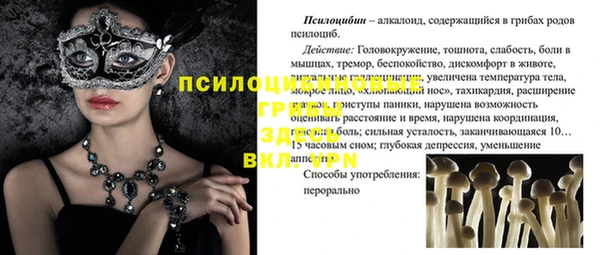 скорость Белокуриха