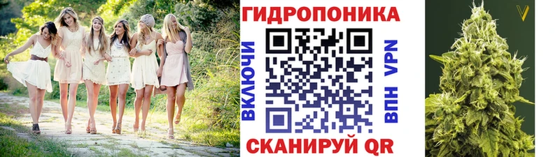 Бошки марихуана конопля  дарнет шоп  Гремячинск 